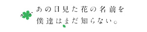 あの日見た花の名前を僕達はまだ知らない。